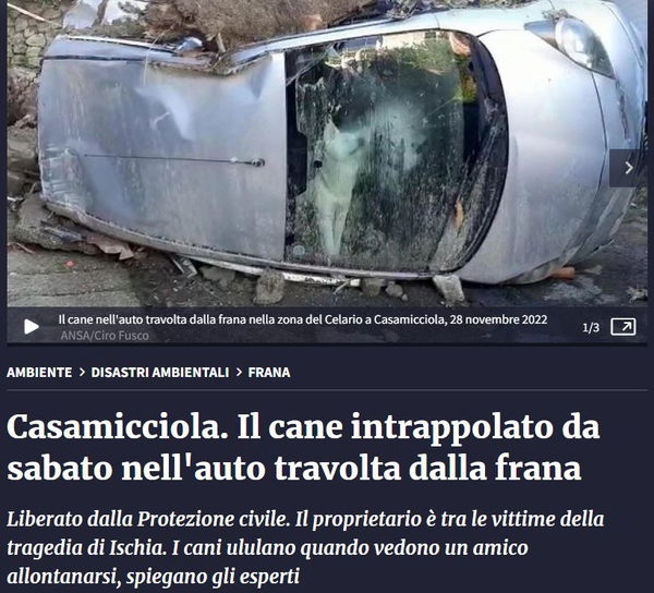 Il cane intrappolato per tre giorni