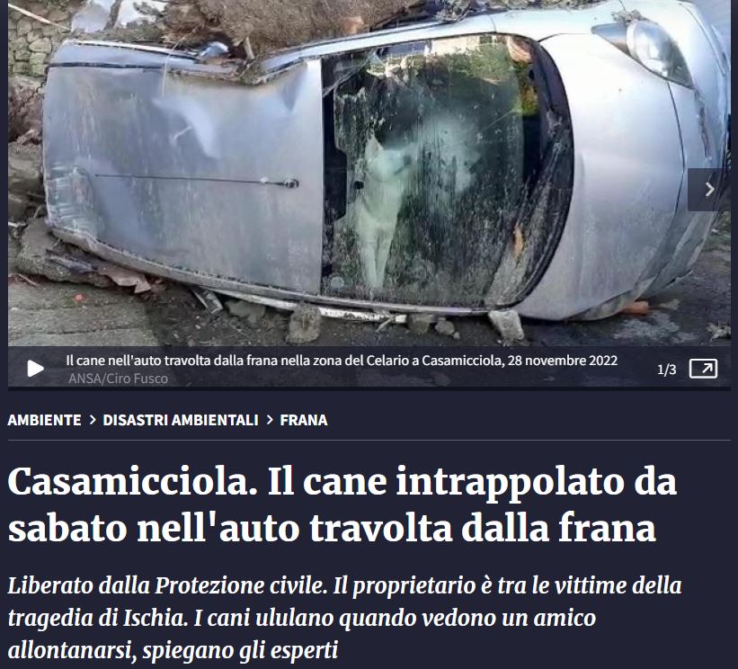 Il cane intrappolato per tre giorni article-post