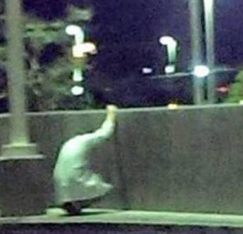 La foto che commuove il web