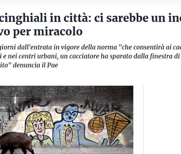 L’emendamento sulla caccia e la disinformazione article-post