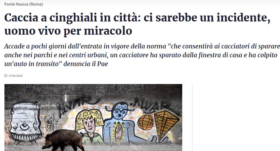 L’emendamento sulla caccia e la disinformazione article-post