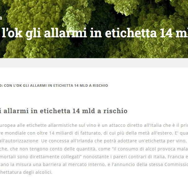 Coldiretti e gli allarmi sul vino in etichetta article-post