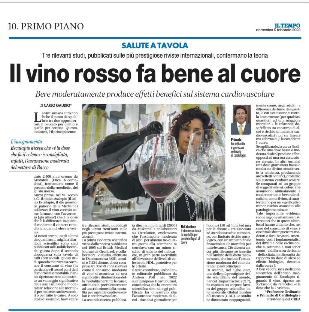 Il vino fa bene ai bias article-post