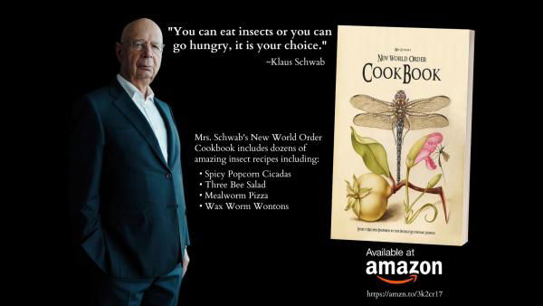 Il New World Order Cook Book article-post