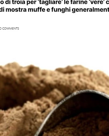 Larve di vermi nella farina