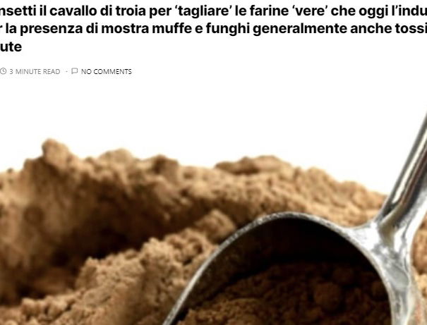 Larve di vermi nella farina article-post