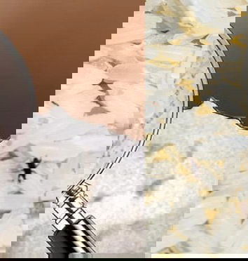 A proposito di insetti: un approfondimento