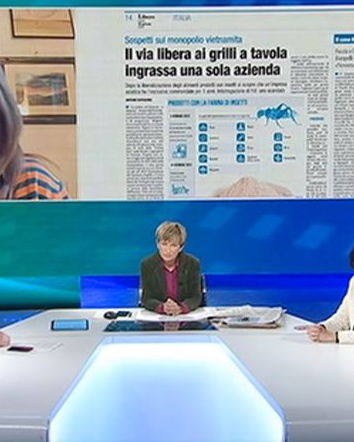 La disinformazione si fa in TV
