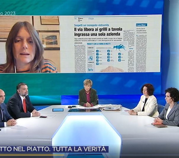 La disinformazione si fa in TV article-post