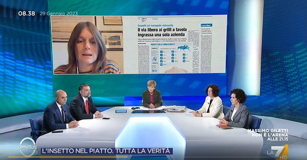 La disinformazione si fa in TV