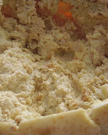 Mangiare insetti, l’approfondimento dell’entomologo