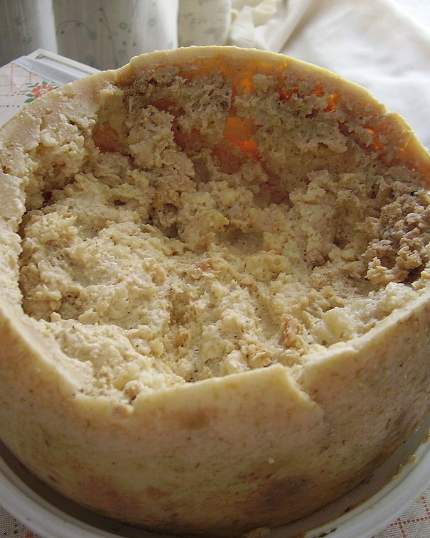 Mangiare insetti, l’approfondimento dell’entomologo article-post