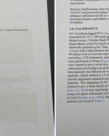 Barbara Balanzoni e il grafene