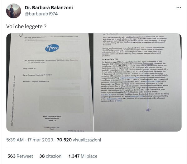 Barbara Balanzoni e il grafene