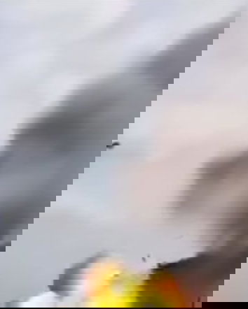 Le auto elettriche che esplodono