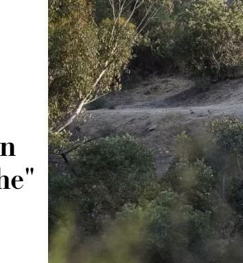 La ricarica delle auto elettriche in California