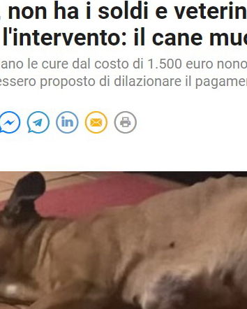 Il caso Kira e il giornalismo un tanto al chilo