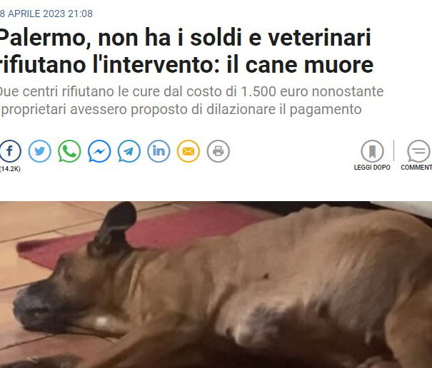 Il caso Kira e il giornalismo un tanto al chilo article-post