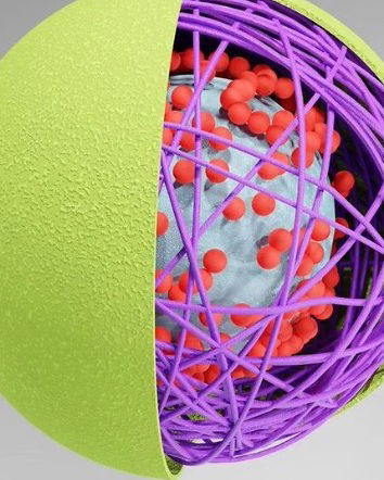 Meluzzi e le nanocapsule di morte