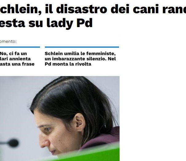 Il pasticciaccio dei cani inselvatichiti article-post