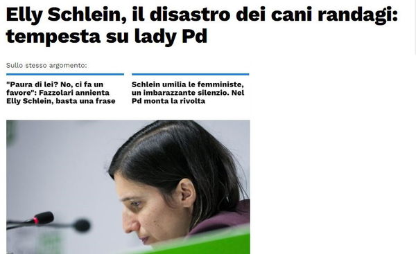 Il pasticciaccio dei cani inselvatichiti