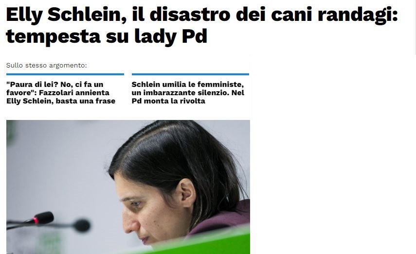 Il pasticciaccio dei cani inselvatichiti article-post