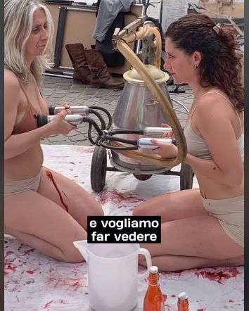 Latte, vitelli e vegani