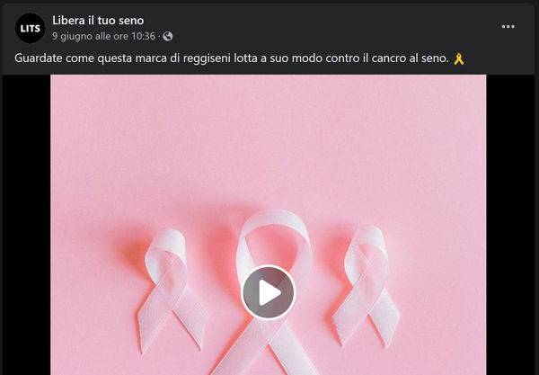 Il reggiseno della start up