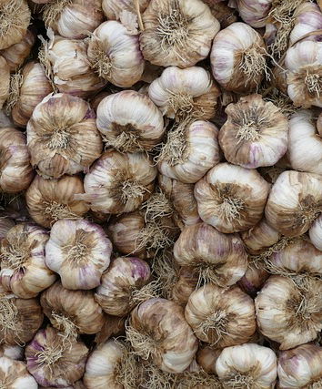 No, l’aglio non cura COVID-19