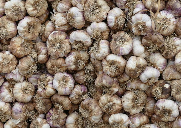 No, l’aglio non cura COVID-19 article-post