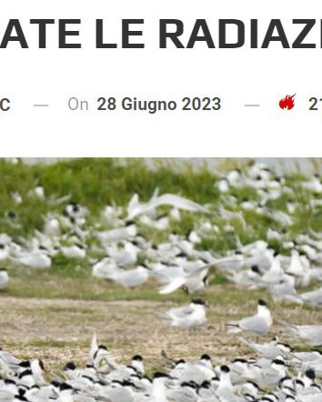 Gli uccelli, le radiazioni e la disinformazione