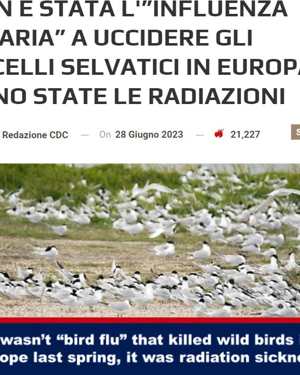 Gli uccelli, le radiazioni e la disinformazione article-post