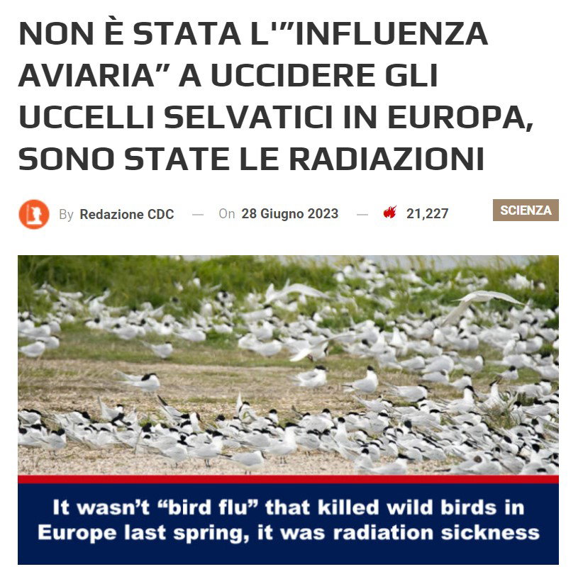 article-post