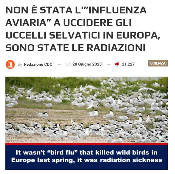 Gli uccelli, le radiazioni e la disinformazione