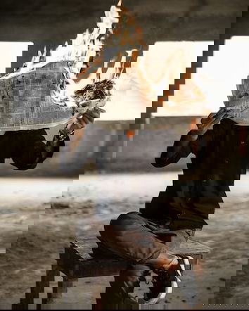 Il rapporto del Censis sulla disinformazione