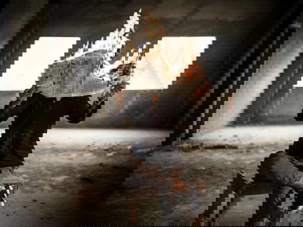 Il rapporto del Censis sulla disinformazione