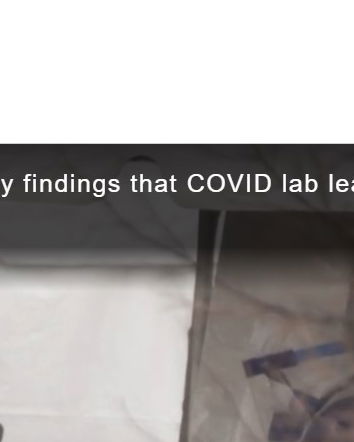 Le fonti, la stampa italiana e la pandemia