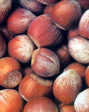 Il Corriere, le nocciole e i tumori