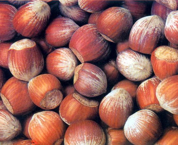 Il Corriere, le nocciole e i tumori article-post