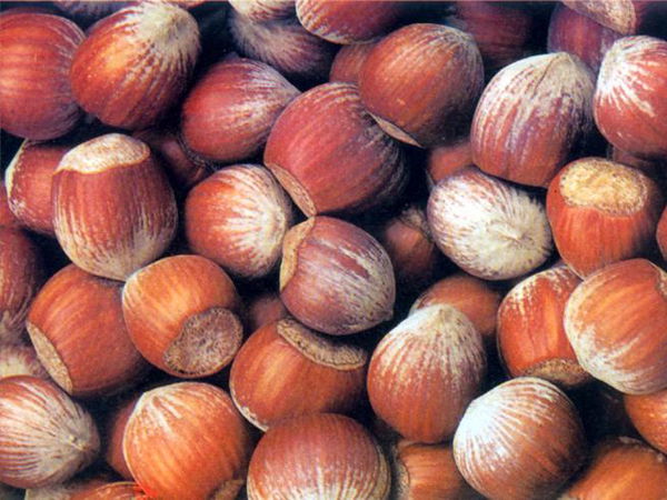 Il Corriere, le nocciole e i tumori