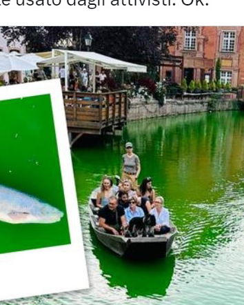 Gli attivisti a Colmar e i pesci