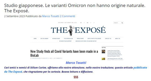 The Exposé e le varianti artificiali