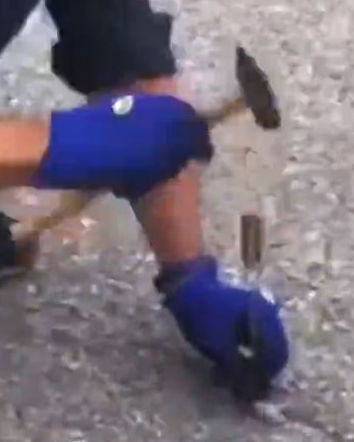 I test casalinghi sulle batterie elettriche