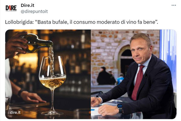 La strumentalizzazione sul vino…