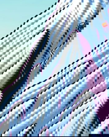 L’effetto Dunning-Kruger