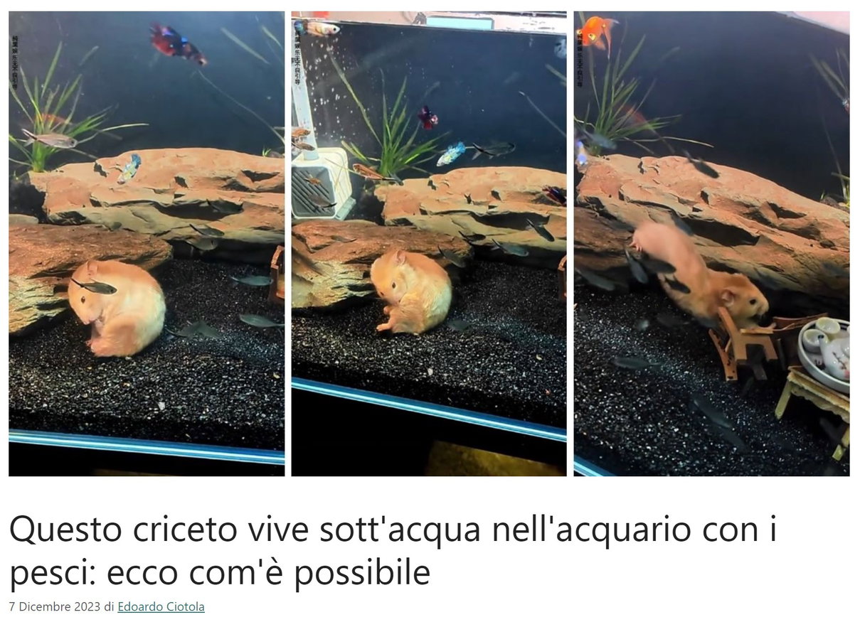 article-post