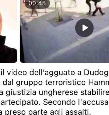 Le botte a Dudog László, Ilaria Salis e il cherry picking