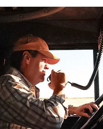 Olio di cannabis e siti strani