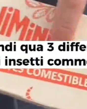 I grilli, il fiocchetto e l’eurodeputata Sardone