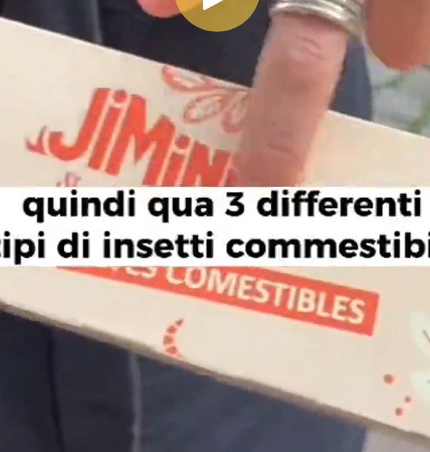 I grilli, il fiocchetto e l’eurodeputata Sardone article-post